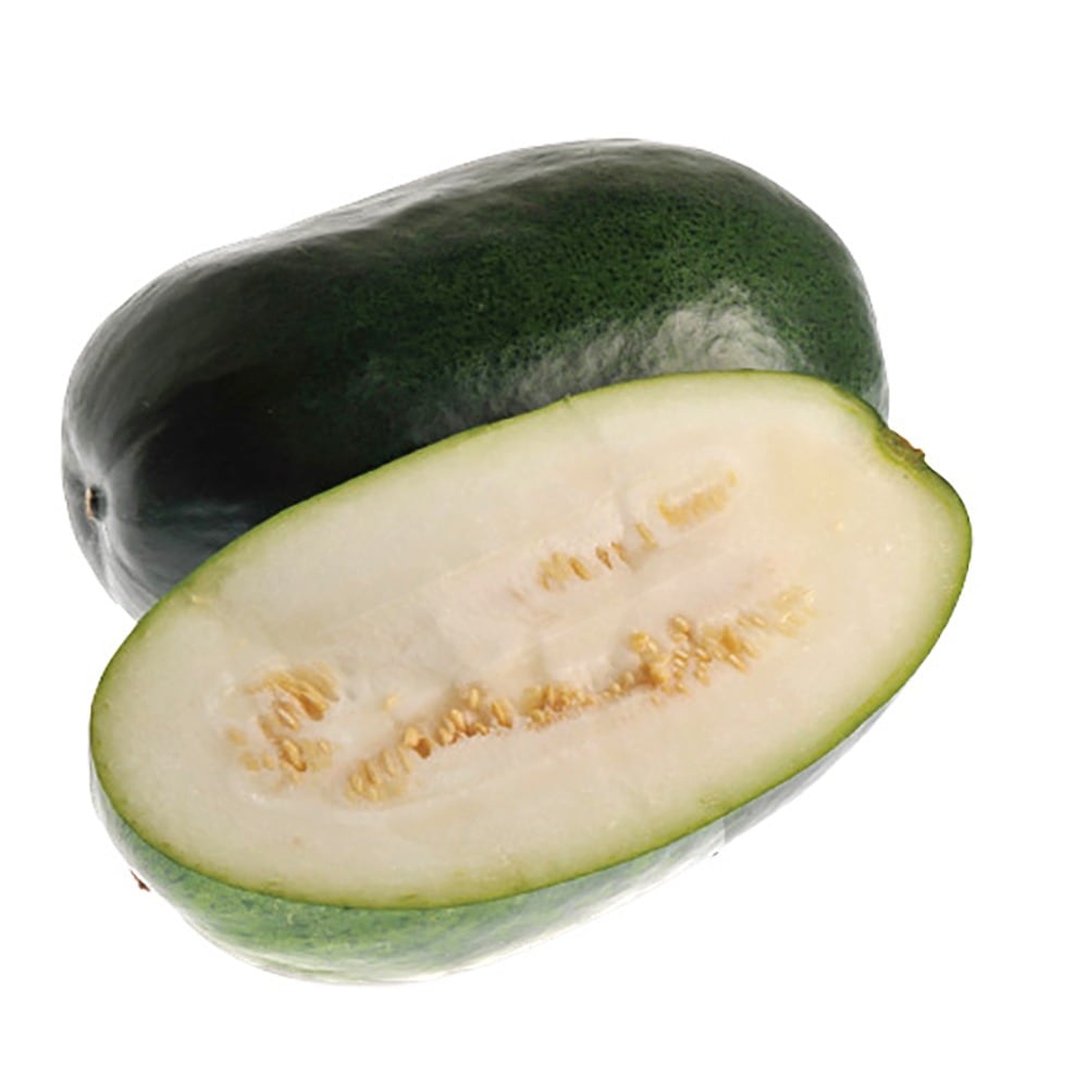 ミニ冬瓜(とうがん)(品種:F1こまちゃん)【野菜苗9cmポット／3個セット