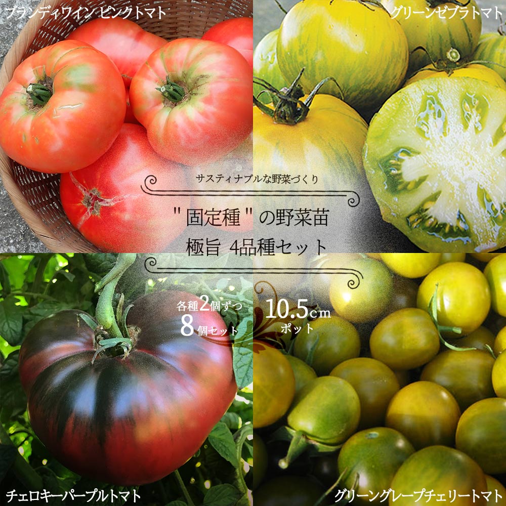 美味しいお野菜が揃いましたので 1500gほど - 野菜