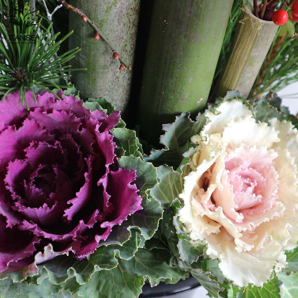 12/26出荷予定】お正月飾り 門松(かどまつ) プラスチック鉢