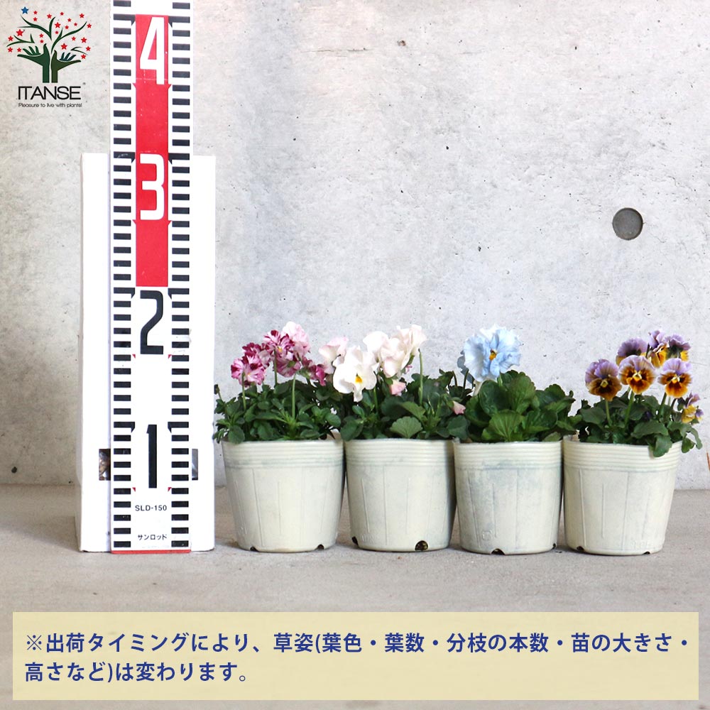 花まつり様♥3点追加同梱 on