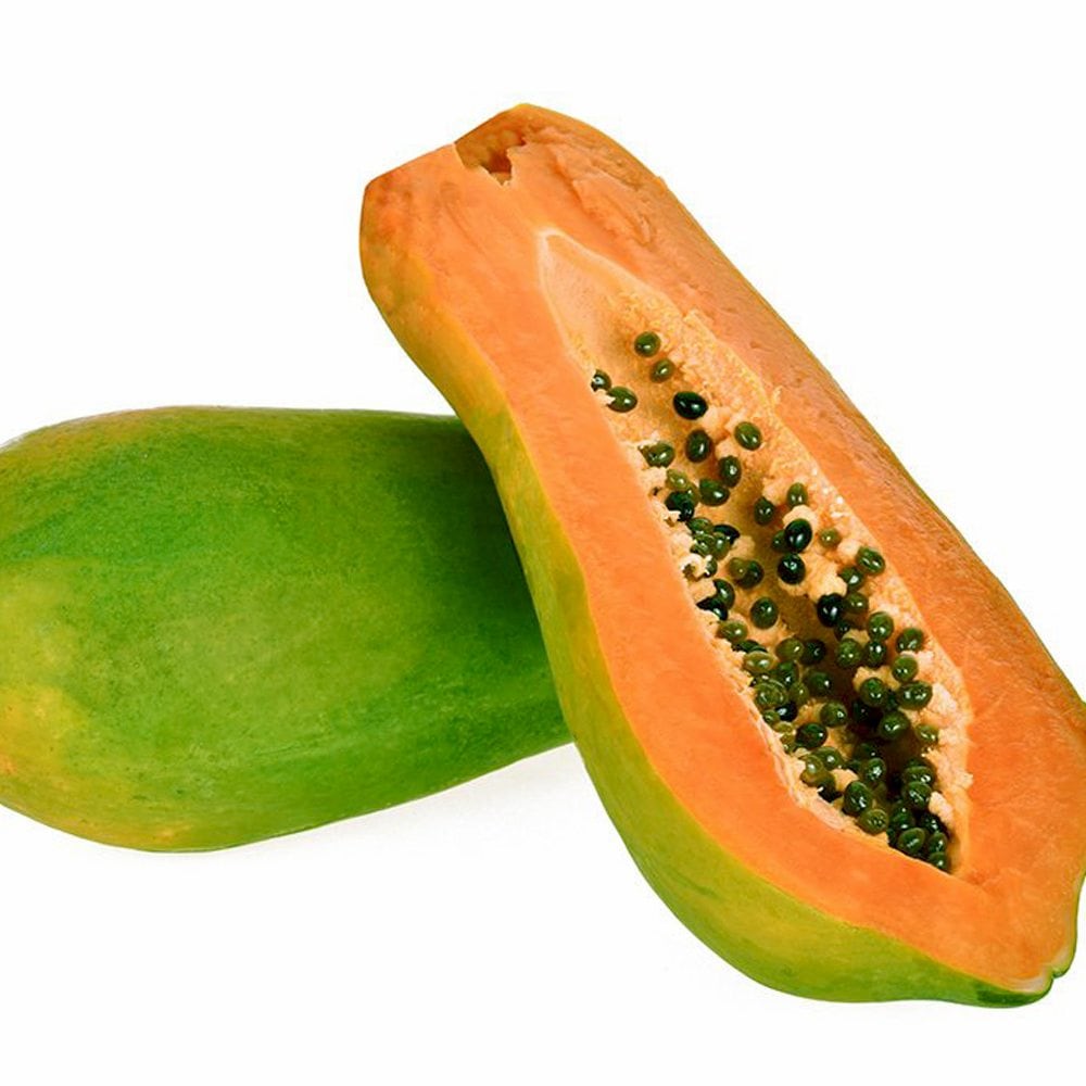 パパイヤの苗 レッドバレル【果樹の苗木 3.5号ポット売り】