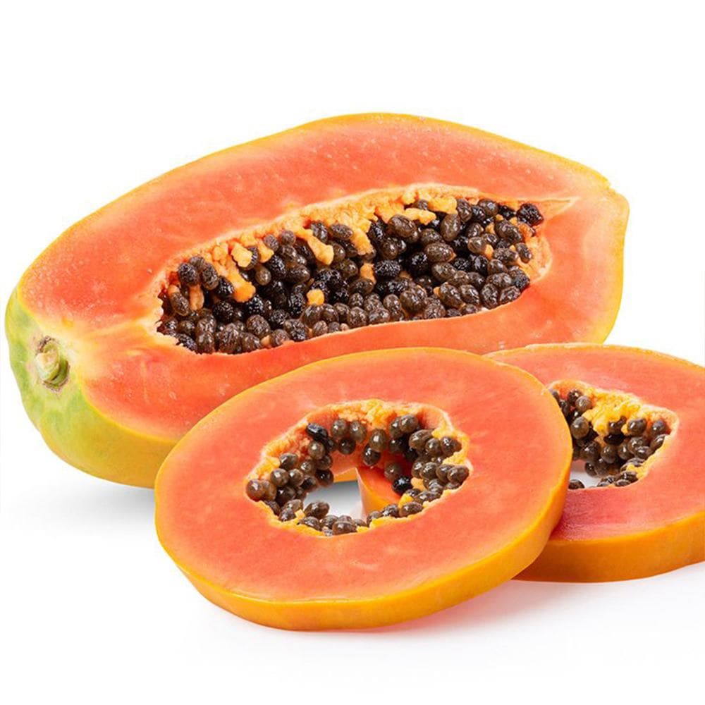 パパイヤの苗 トロピカルリッチ【果樹の苗木 3.5号ポット売り】