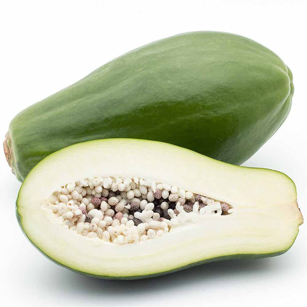 パパイヤの苗 ダイナミックゴールド【果樹の苗木 3.5号ポット売り】