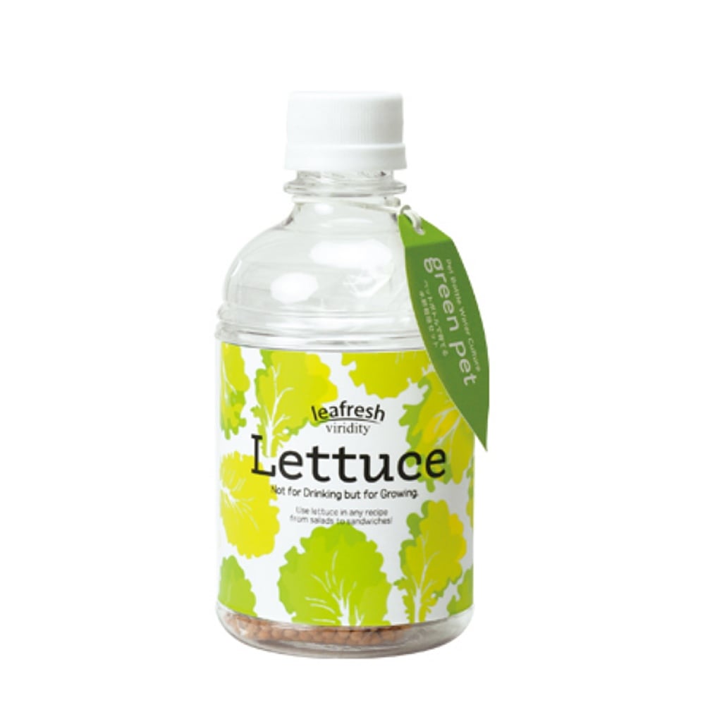 グリーンペット レタス1個【窓辺で育てる水耕栽培セット】