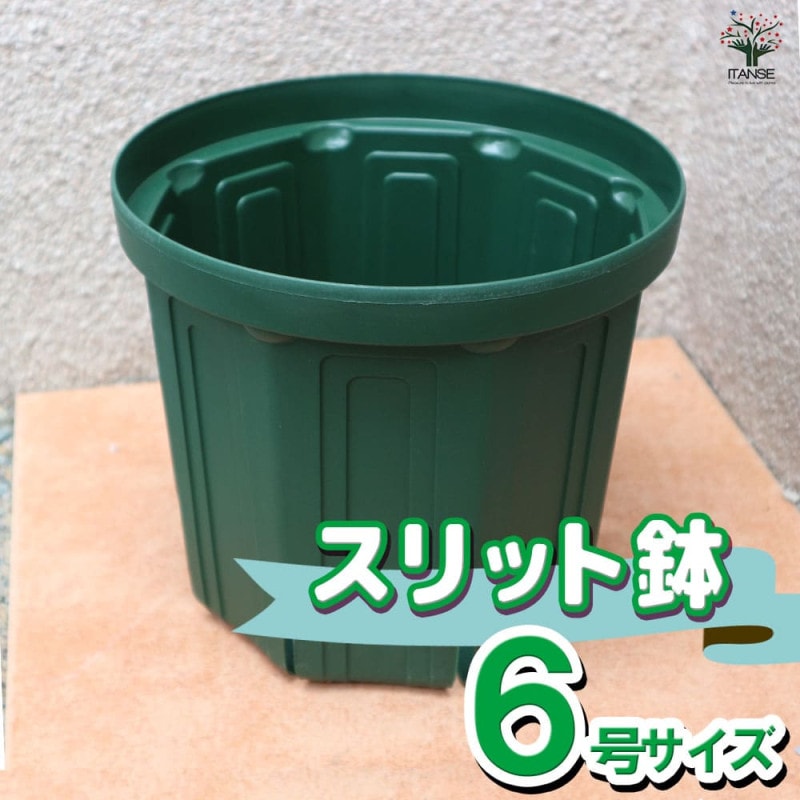スリット鉢【7号鉢 資材】｜ 【植物のITANSE】全品送料無料・即出荷!