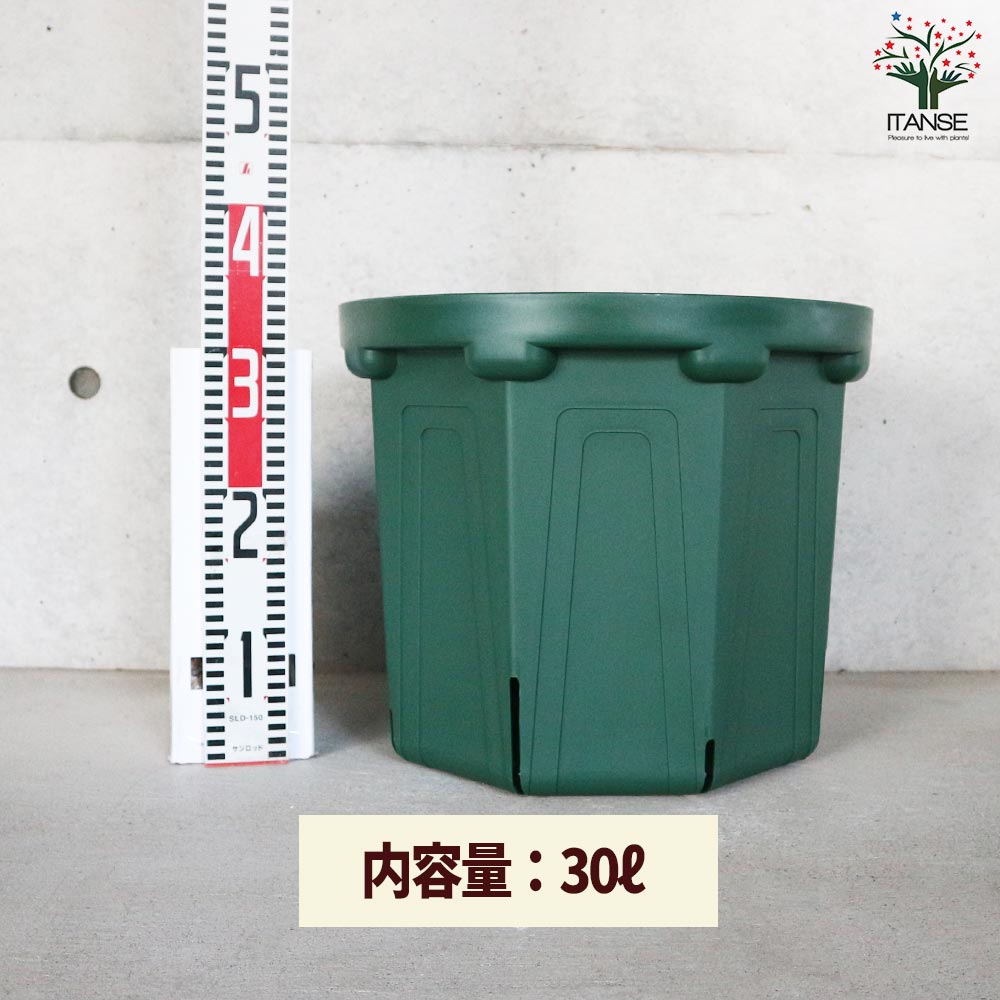 追加商品画像