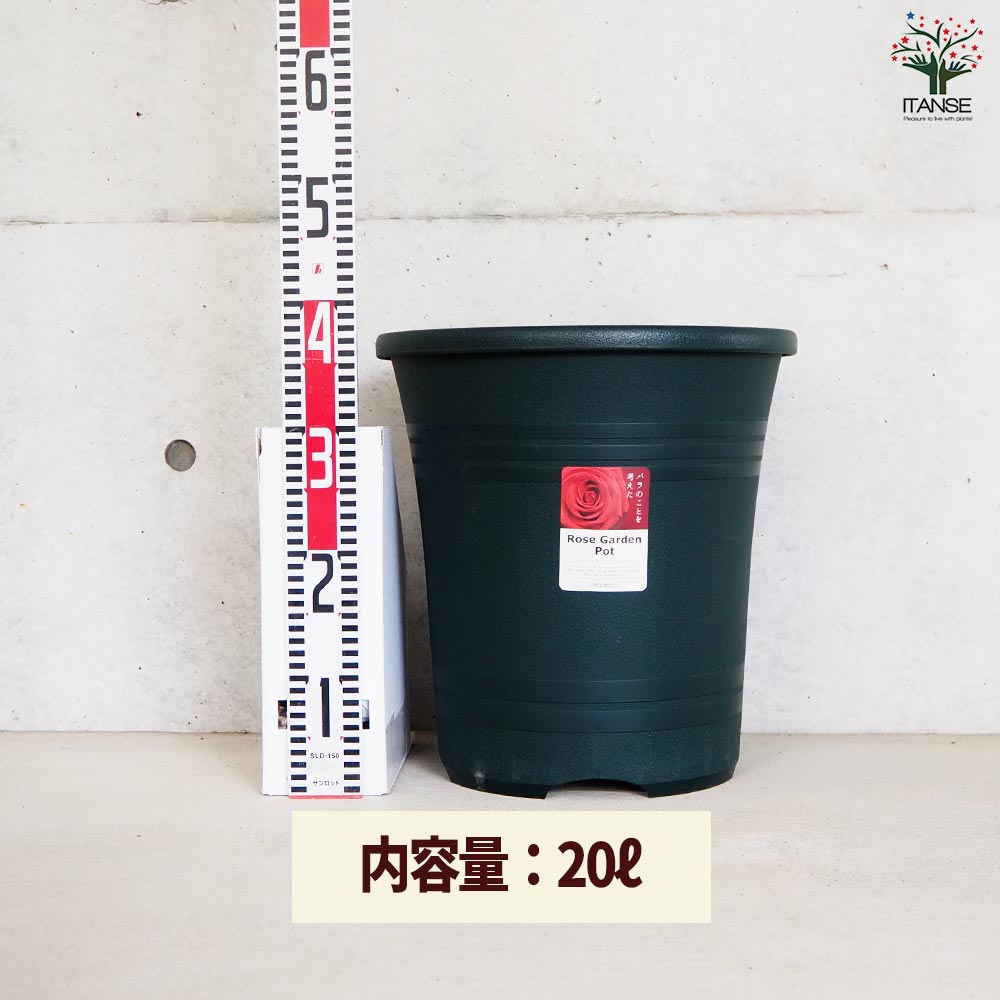 ITANSE ローズガーデンポット 色：ダークグリーン 36型 お買い得3個セット ポット プランター 菜園鉢 家庭菜園 ガーデニング 送料無料 イタンセ公式 ローズガーデンポット 色：ダークグリーン資材 36型｜ 植物の