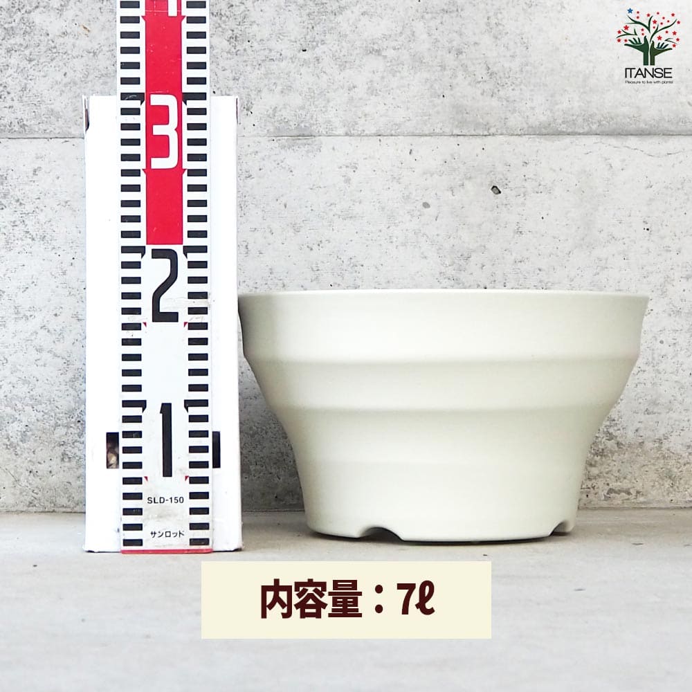 追加商品画像