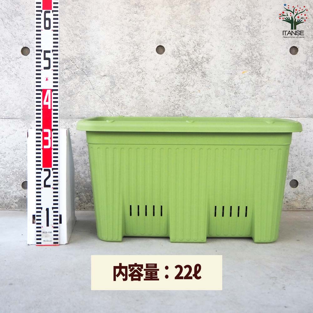 楽々菜園(深型) サラダグリーン600【資材】｜ 【植物のITANSE