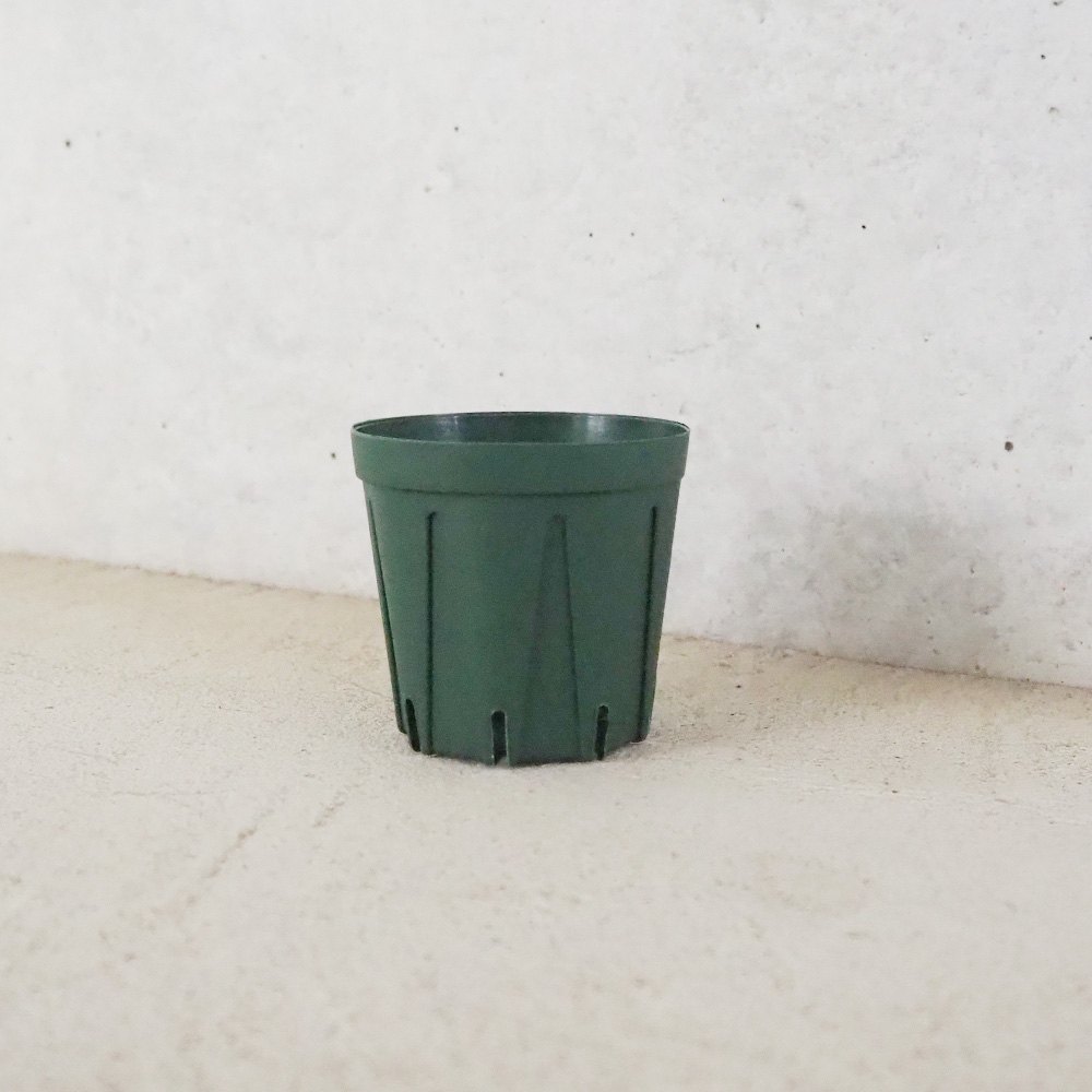 スリット鉢 2号【資材】