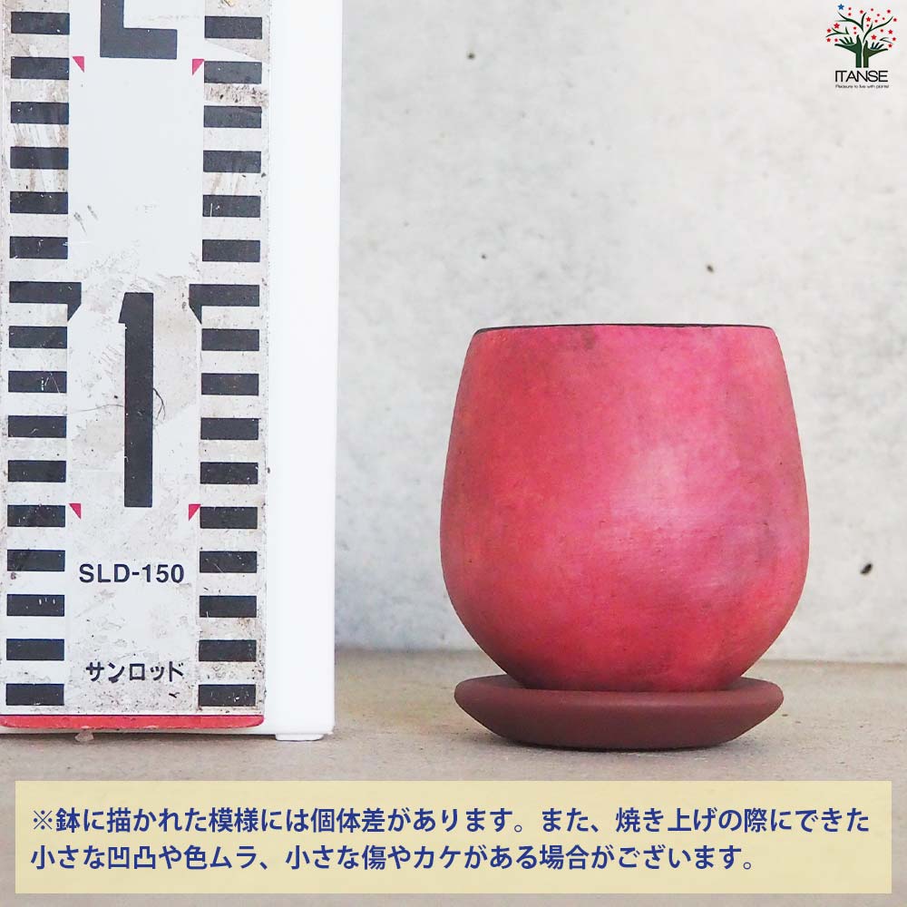 皿付陶器鉢 彩色焼磁 レッド【資材 8cm】｜ 【植物のITANSE