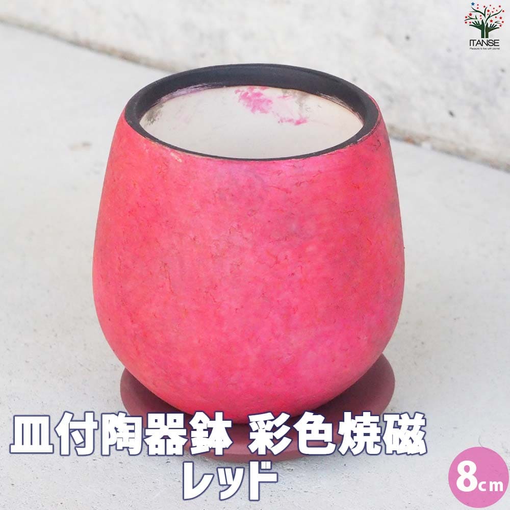 皿付陶器鉢 彩色焼磁 レッド【資材 8cm】