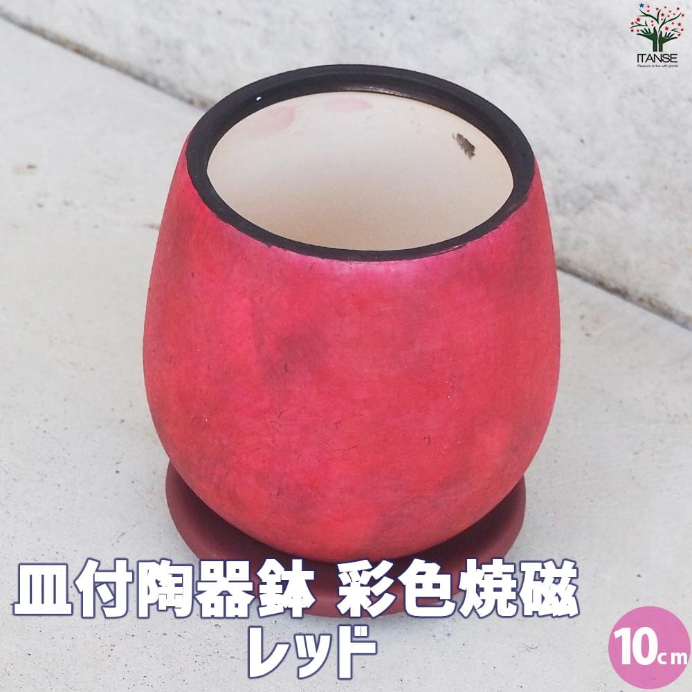 皿付陶器鉢 彩色焼磁 レッド【資材 10cm】