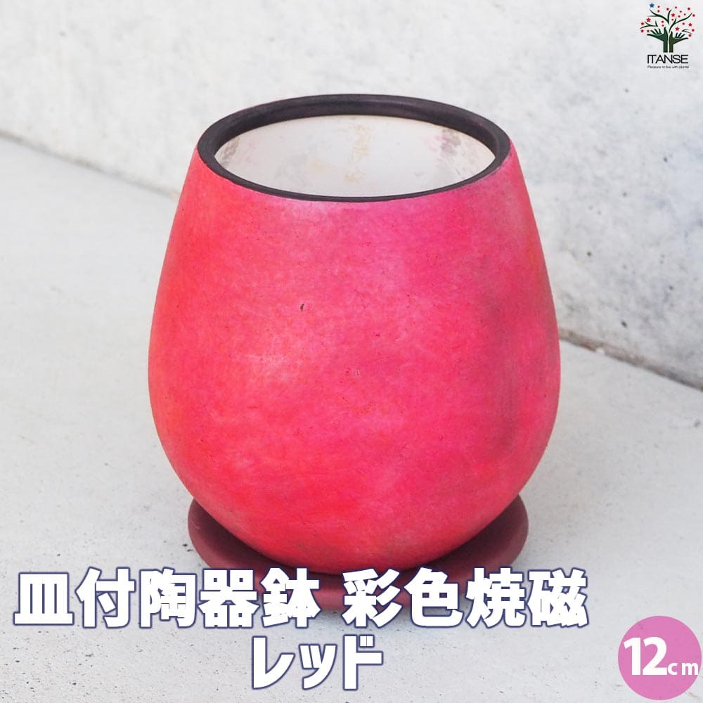 皿付陶器鉢 彩色焼磁 レッド【資材 12cm】