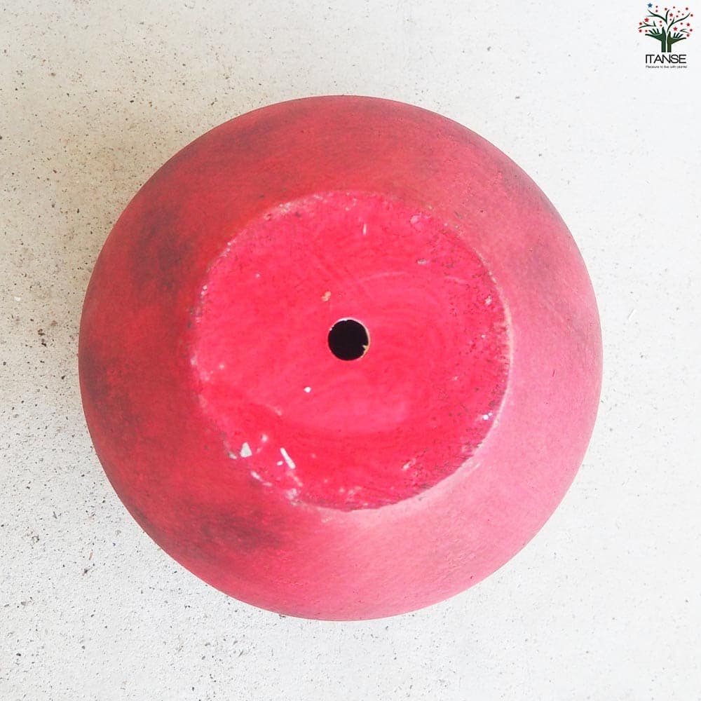 皿付陶器鉢 彩色焼磁 ダークレッド【資材 17cm】｜ 【植物の