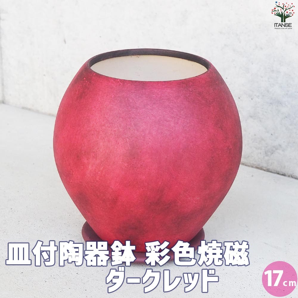 皿付陶器鉢 彩色焼磁 ダークレッド【資材 17cm】