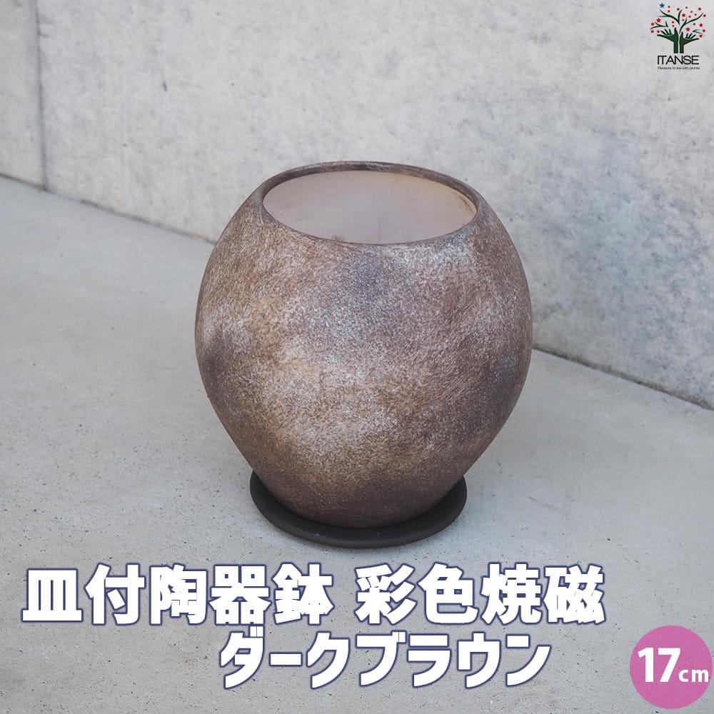 皿付陶器鉢 彩色焼磁 ダークブラウン【資材 17cm】