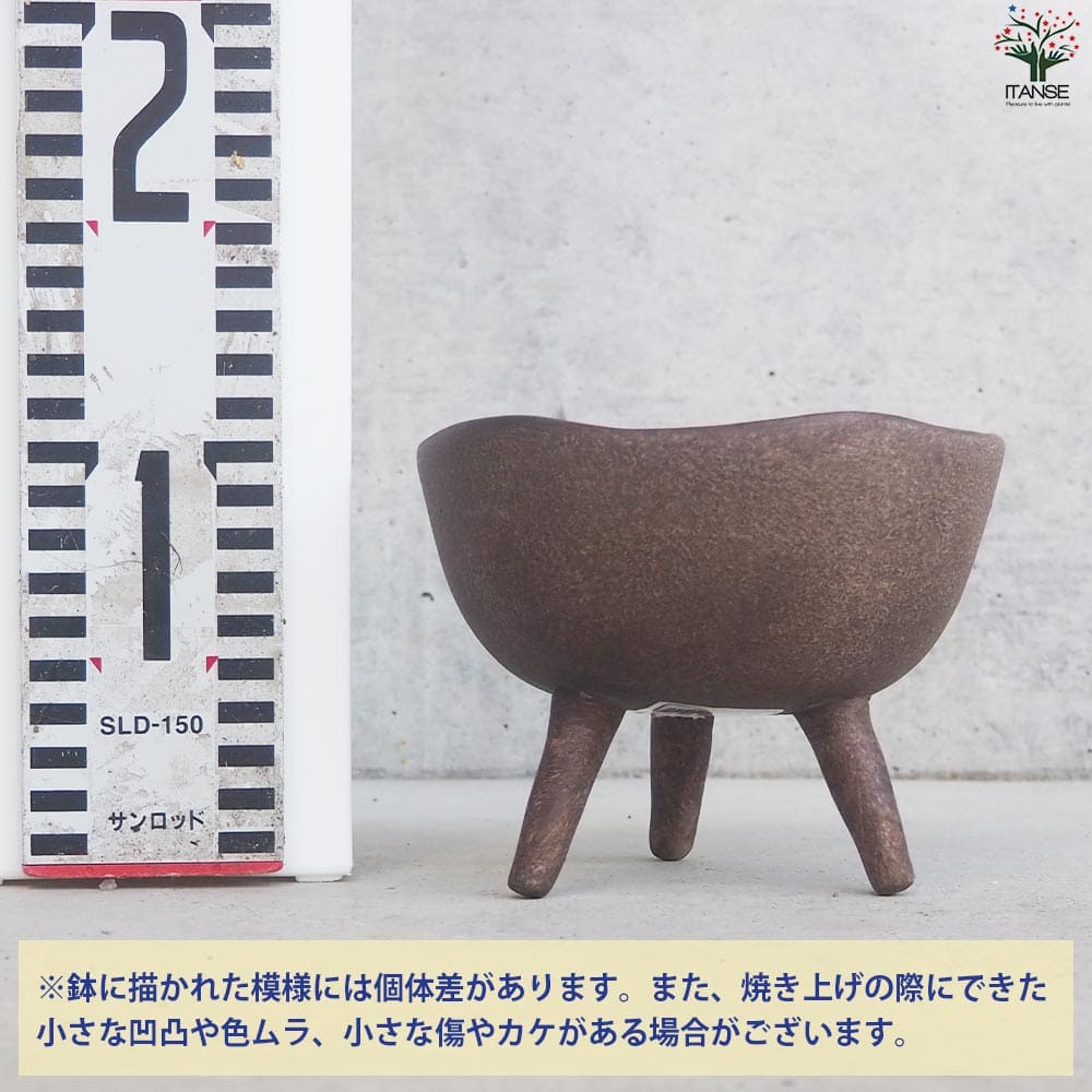 陶器鉢 三つ足深鉢【資材 13.5cm】｜ 【植物のITANSE
