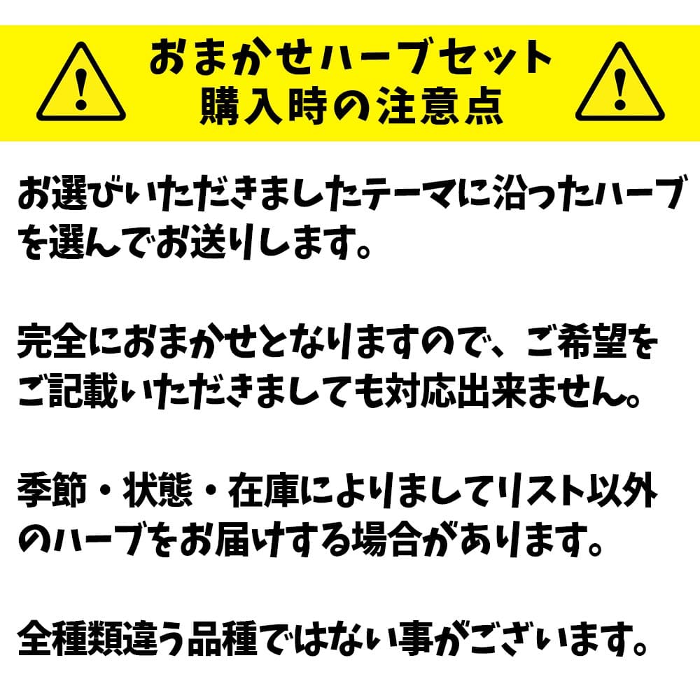 人気のハーブ苗 おまかせハーブ お得セット【おうちで簡単！育てやすい