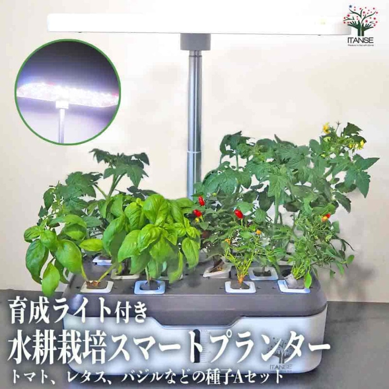 水耕栽培スマートプランターライト付 種子Aセット 【栽培キット