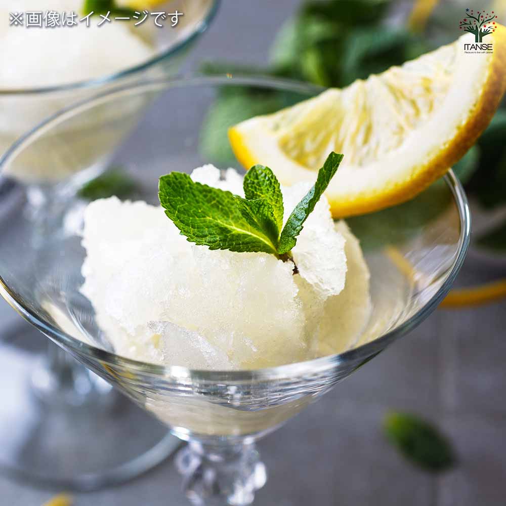 スイートレモネード 【果樹の苗木 8号鉢／1個売り】｜ 【植物の