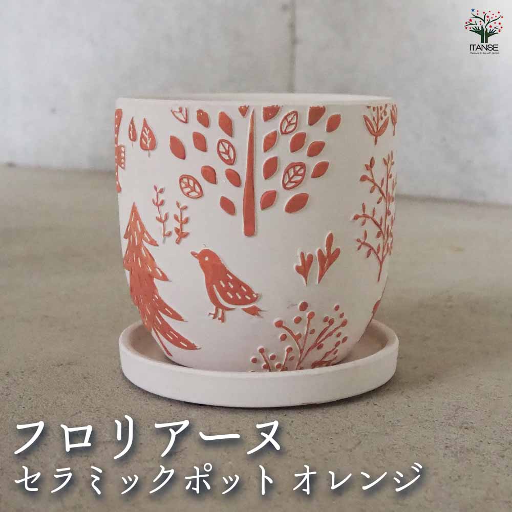 陶器鉢 フロリアーヌ C セラミックポット オレンジ 【陶器鉢 ／1個売り】