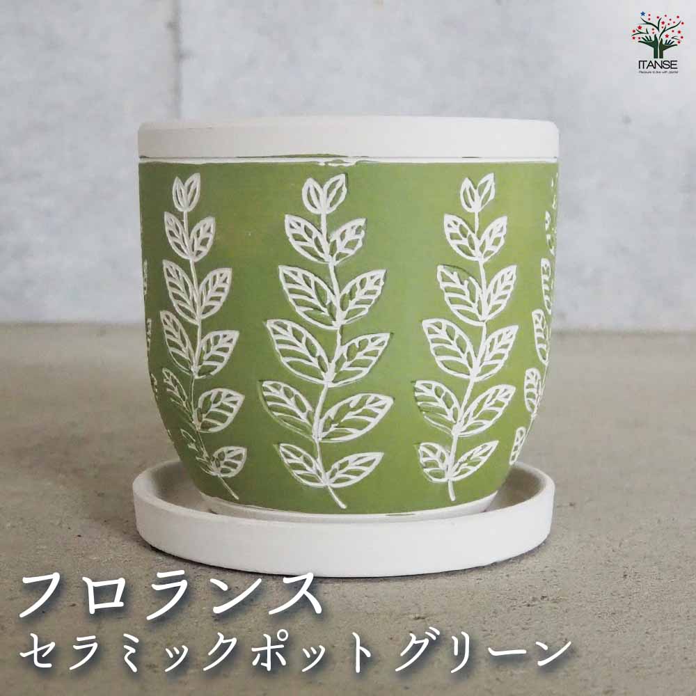 陶器鉢 フロランス  B セラミックポット グリーン 【陶器鉢 ／1個売り】