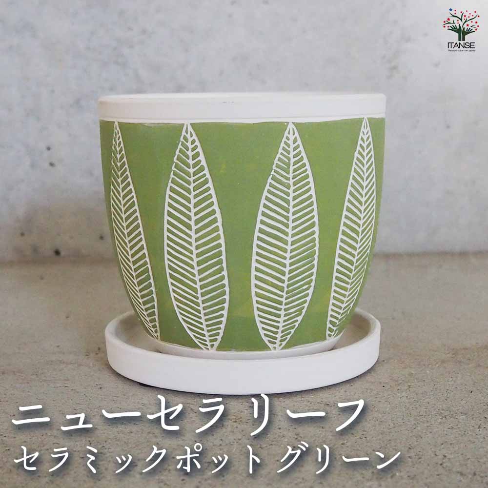 陶器鉢 ニューセラ  リーフ B セラミックポット グリーン 【陶器鉢 ／1個売り】