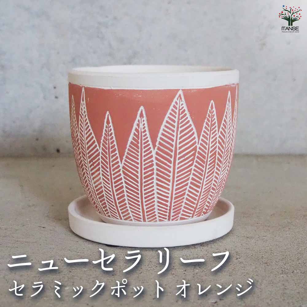 陶器鉢 ニューセラ  リーフ C セラミックポット オレンジ 【陶器鉢 ／1個売り】
