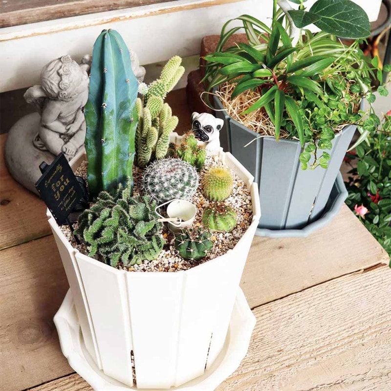 鉢／プランター｜【植物のITANSE】全品送料無料・即出荷!