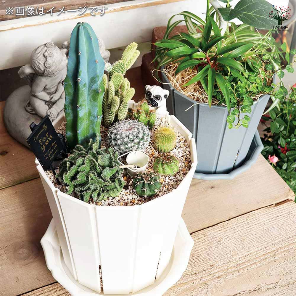 オアシス　Lサイズ 植木鉢 スリットオアシス【スリット穴の目立ちにくさを考えて作られた