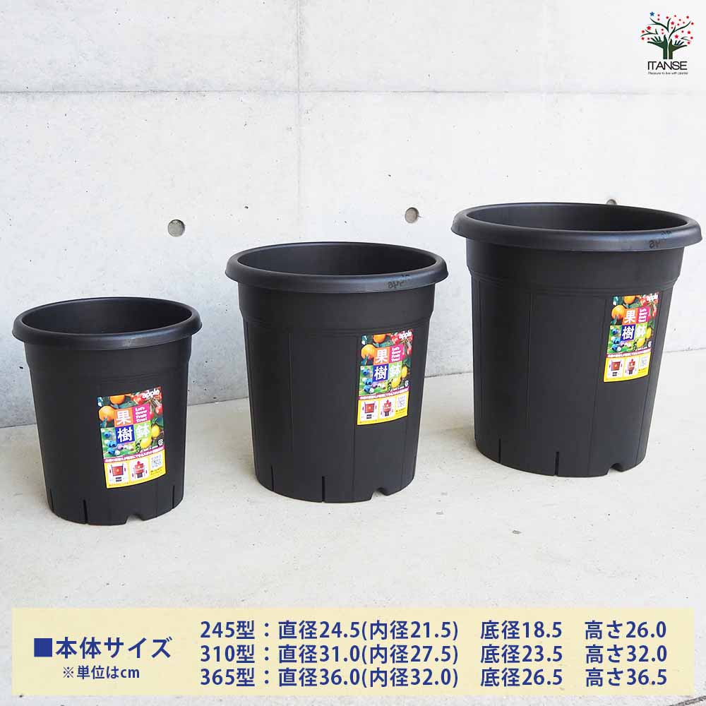 植木鉢 果樹鉢【プラ鉢】｜ 【植物のITANSE】全品送料無料