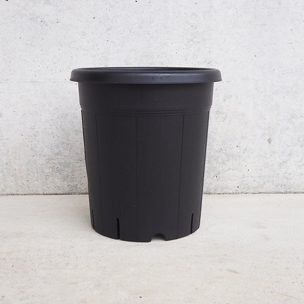 植木鉢 果樹鉢【プラ鉢】