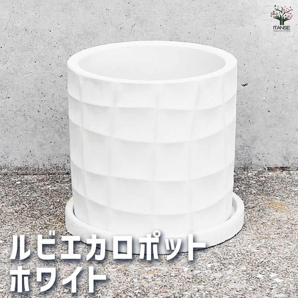 陶器鉢 ルビエカロ ポット ホワイト(受皿付き)【陶器鉢 Ｍサイズ／1個売り】