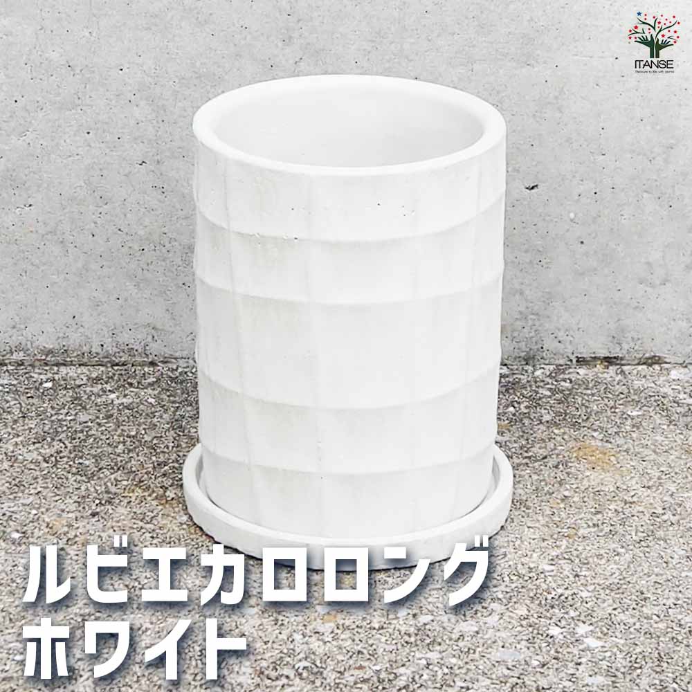 陶器鉢 ルビエカロ ロング ホワイト(受皿付き)【陶器鉢 Ｍサイズ／1個売り】