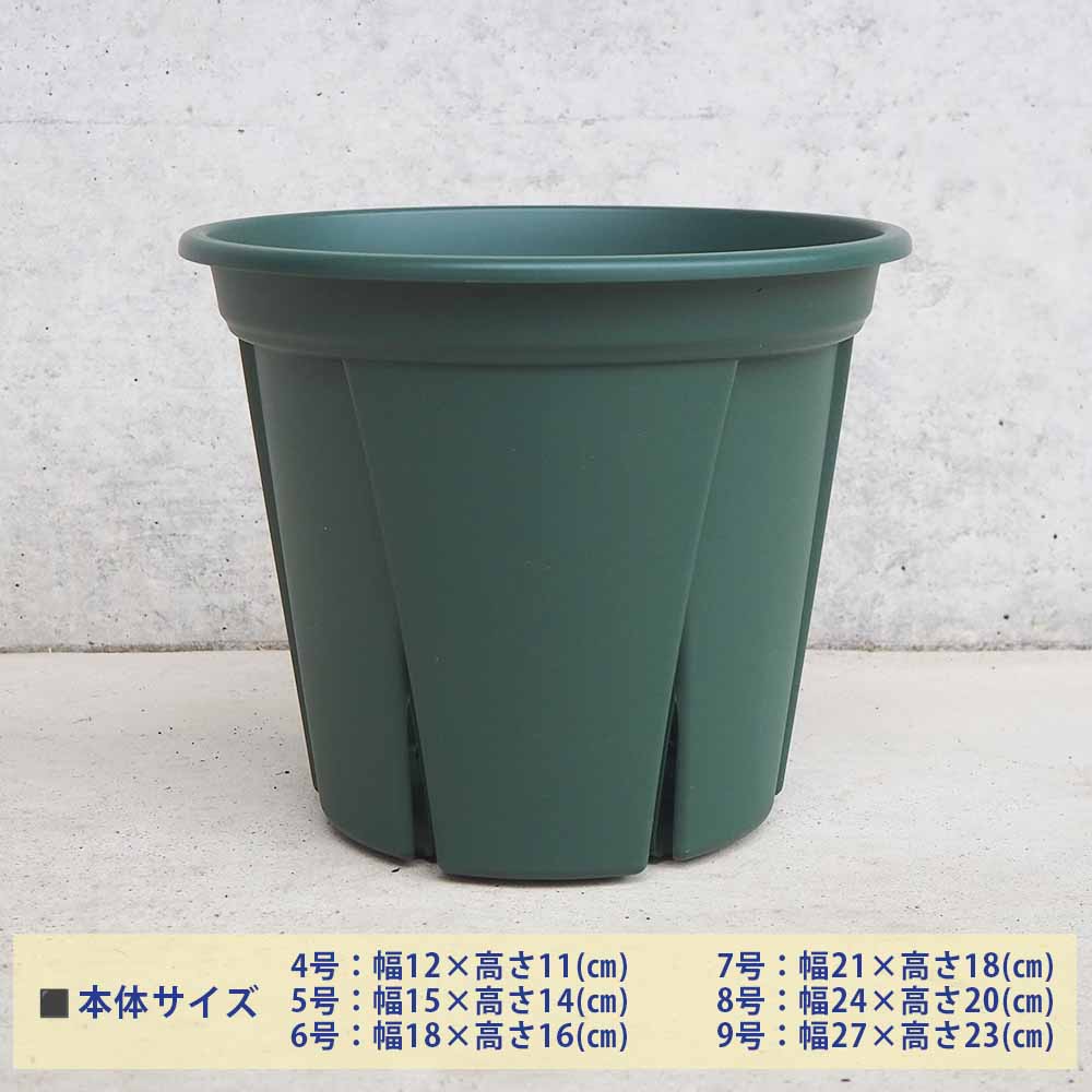 植木鉢 根っこつよし【スリット プラ鉢】｜ 【植物のITANSE