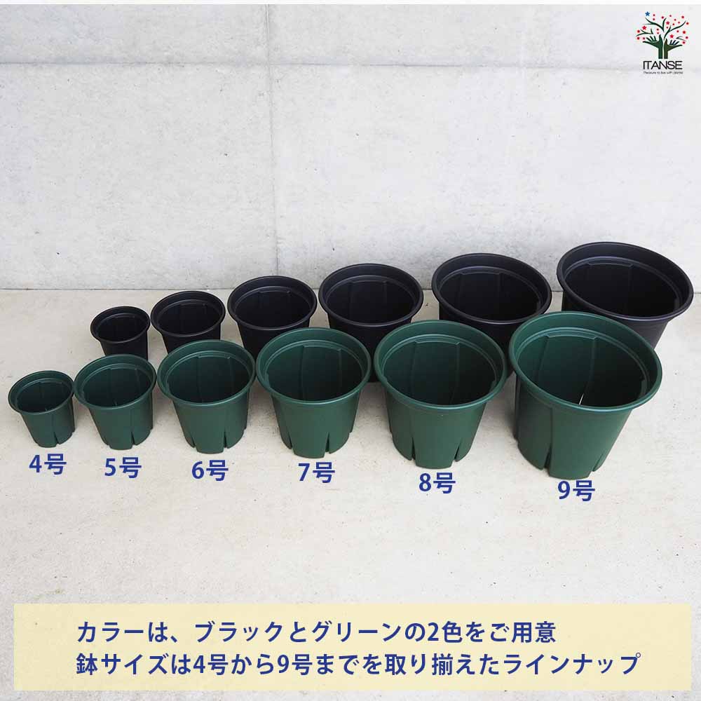 根っこ 植木鉢 根っこつよし【スリット プラ鉢】｜ 【植物のITANSE