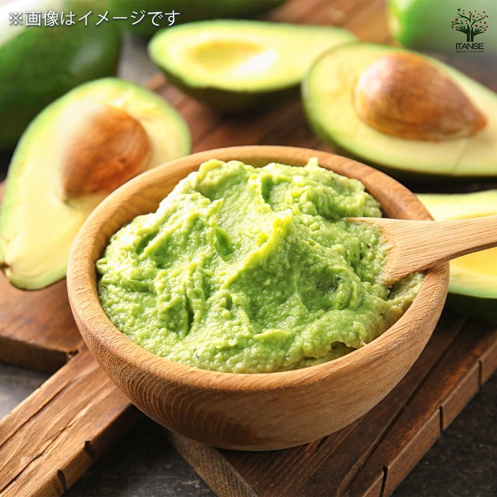 アボカド ムラシゲ 【果樹の苗木 4.5号ロングポット／1個売り