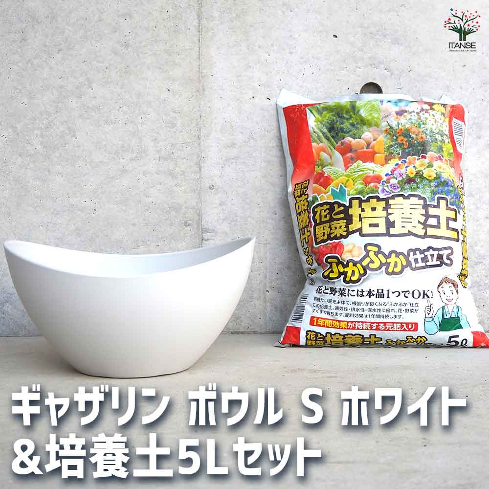 ギャザリン ボウル ホワイト 【資材 Sサイズ&花と野菜の培養土 ふかふか仕立て5L】