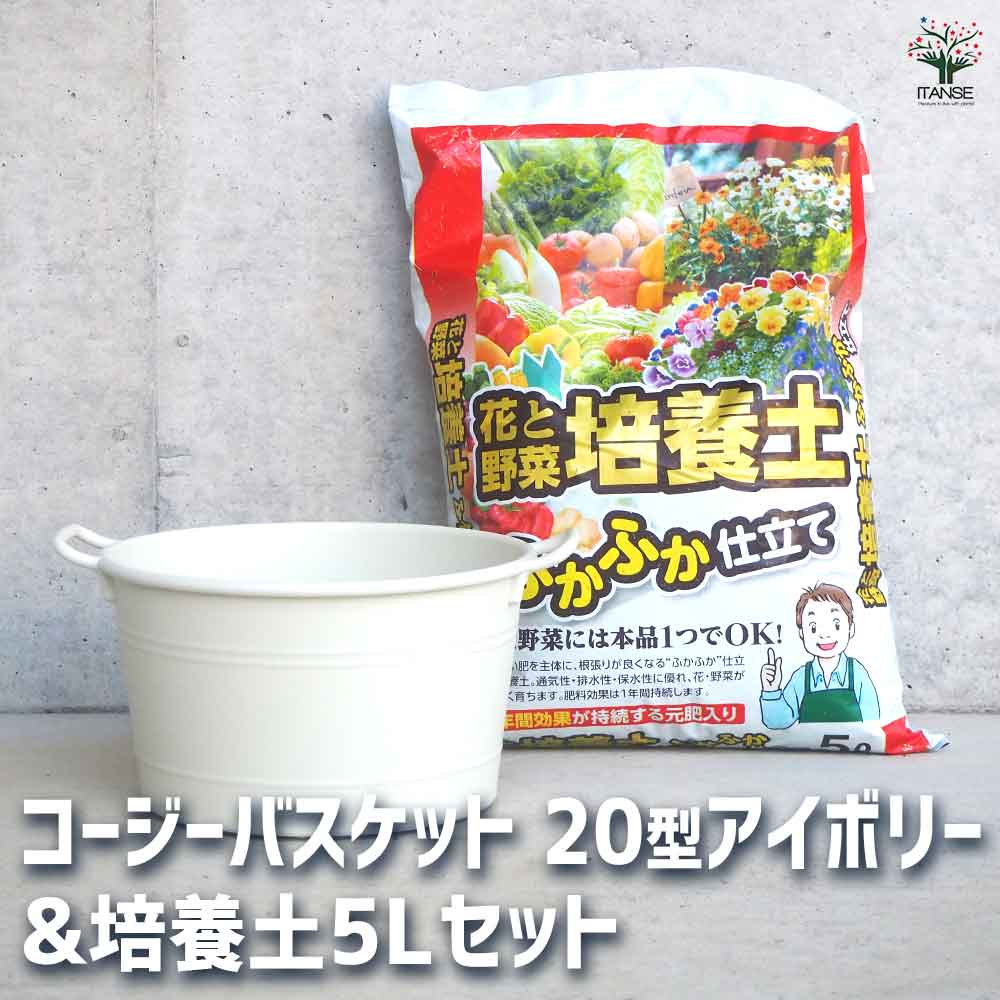 コージーバスケット アイボリー 【資材 20型&花と野菜の培養土 ふかふか仕立て5L】