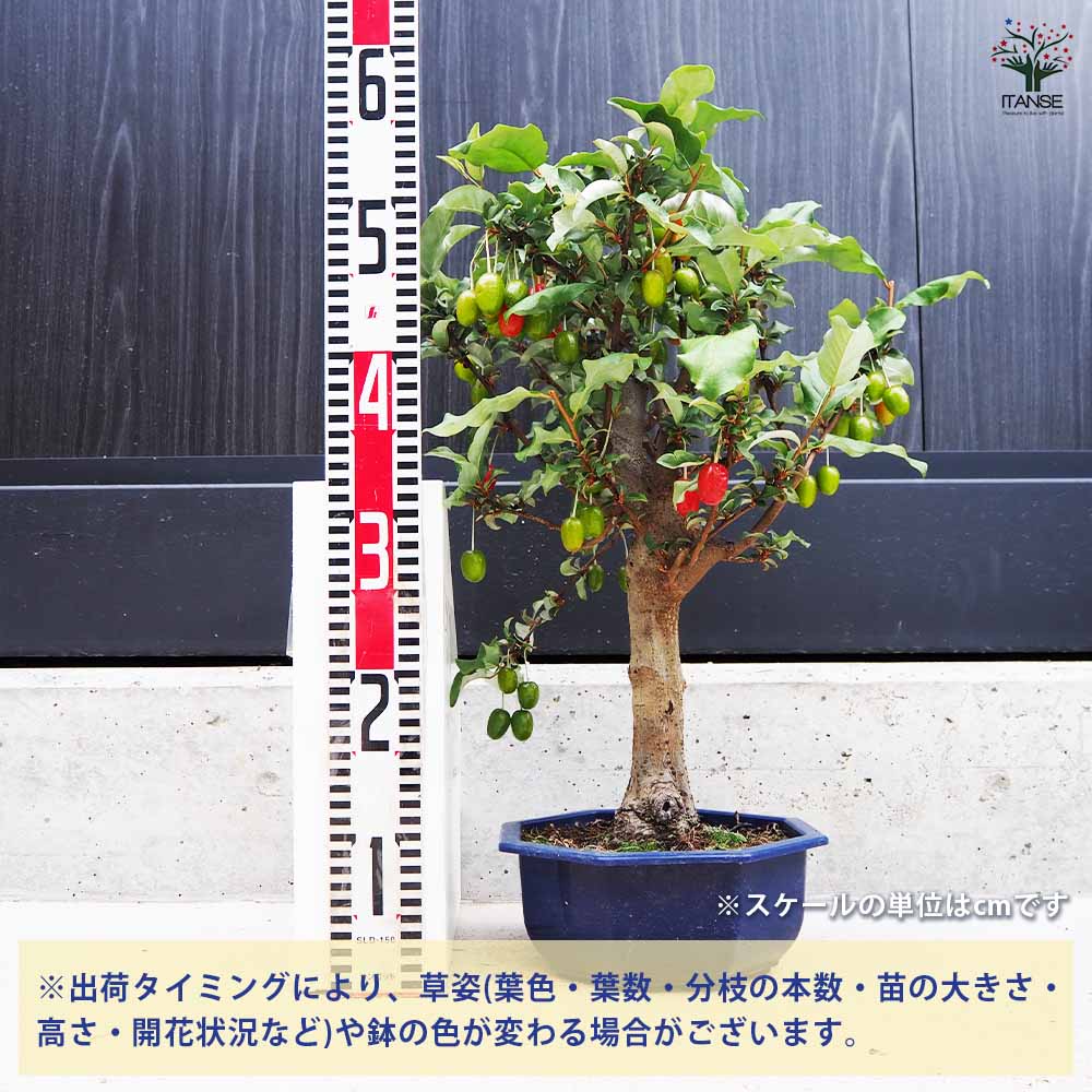 追加商品画像