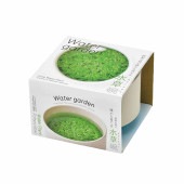 栽培セット 水草碗 【Sサイズ／1個売り】|栽培セット