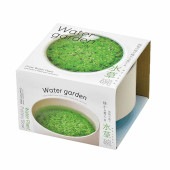 栽培セット 水草碗 【Mサイズ／1個売り】|栽培セット