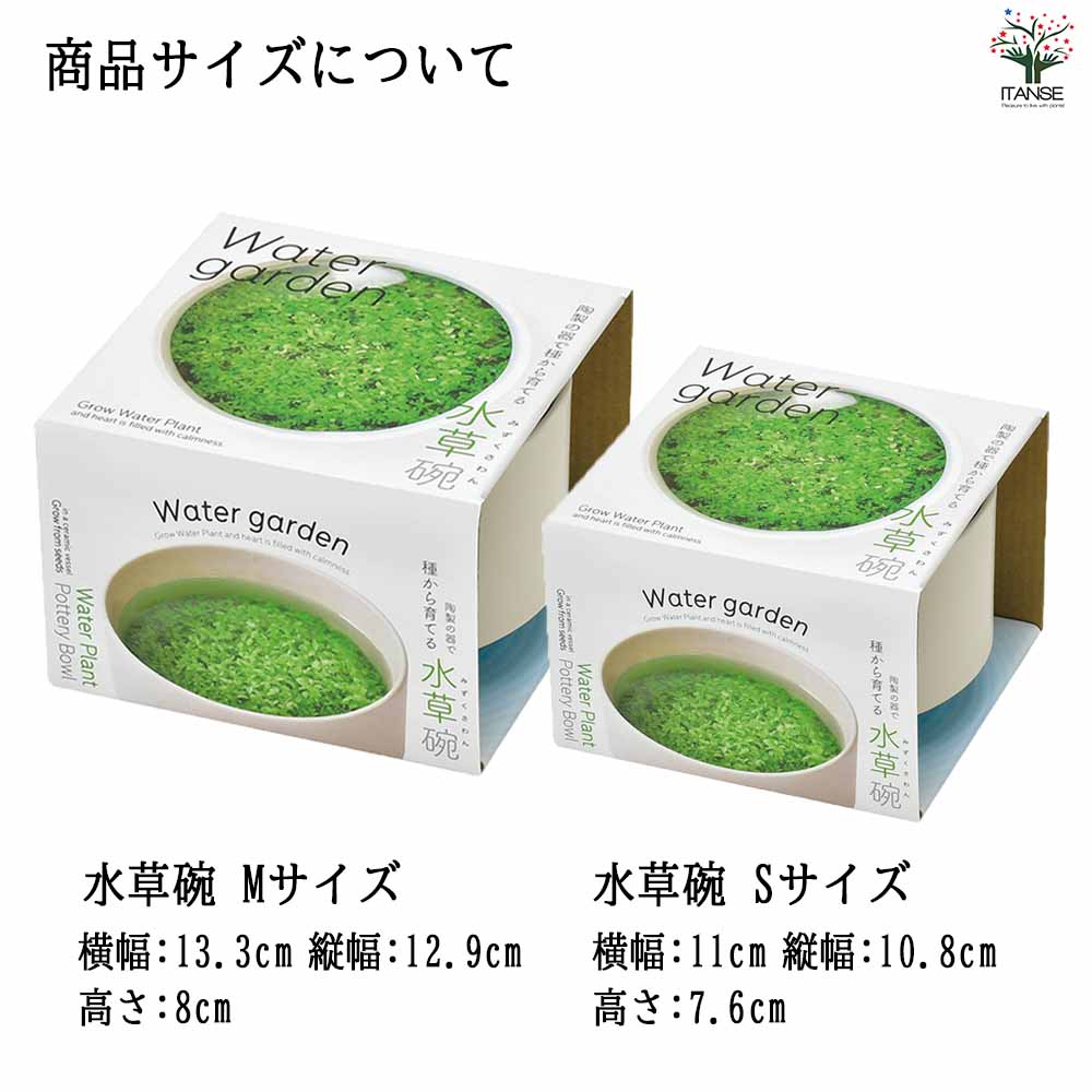栽培セット 水草碗 【Mサイズ／1個売り】｜ 【植物のITANSE