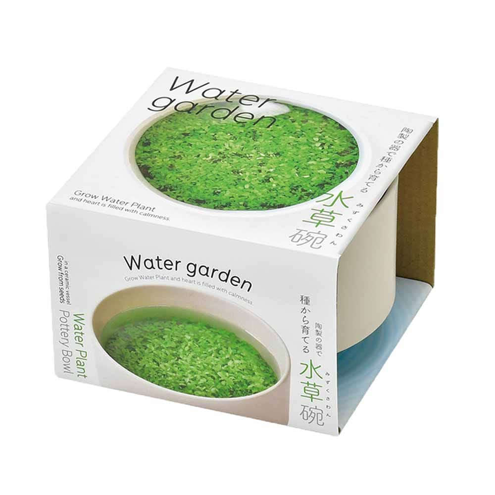 栽培セット 水草碗 【Mサイズ／1個売り】