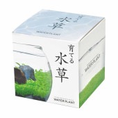栽培セット 育てる水草 【Sサイズ／1個売り】|栽培セット