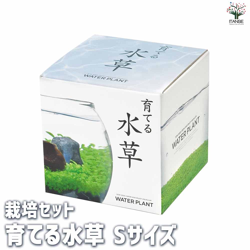 栽培セット 育てる水草 【Sサイズ／1個売り】