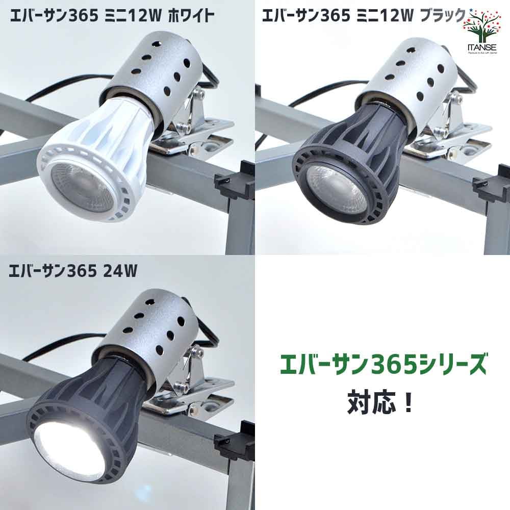 ストロングスタンド(クリップ式)＆ UVBライト Mycro sun+マイクロン