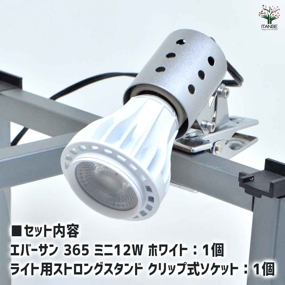 植物育成用ライト エバーサン365(サンロクゴー) 白&スタンド