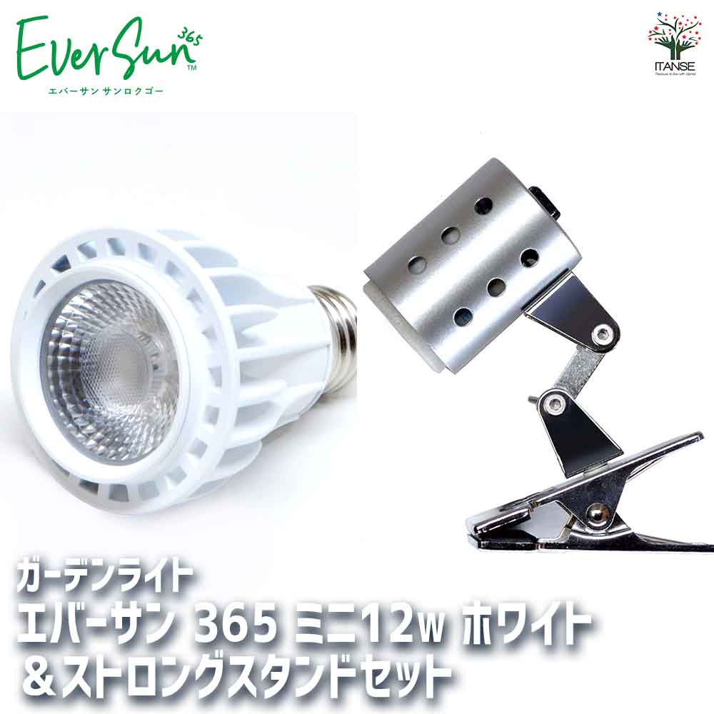 植物育成用ライト エバーサン365(サンロクゴー) 白&スタンドセット 【育成グッズ 12W／1個売り】